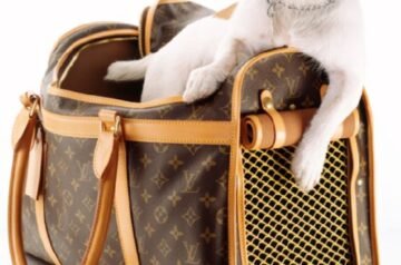Travel in Style: Why a Dog Carrier Shoulder Bag is a Must-Have for Pet Owners